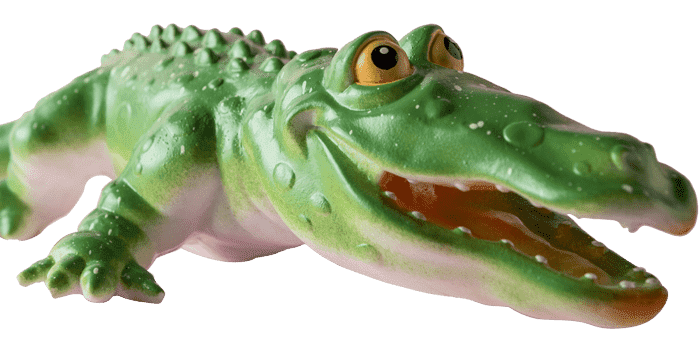 crocodile agence web kaiman